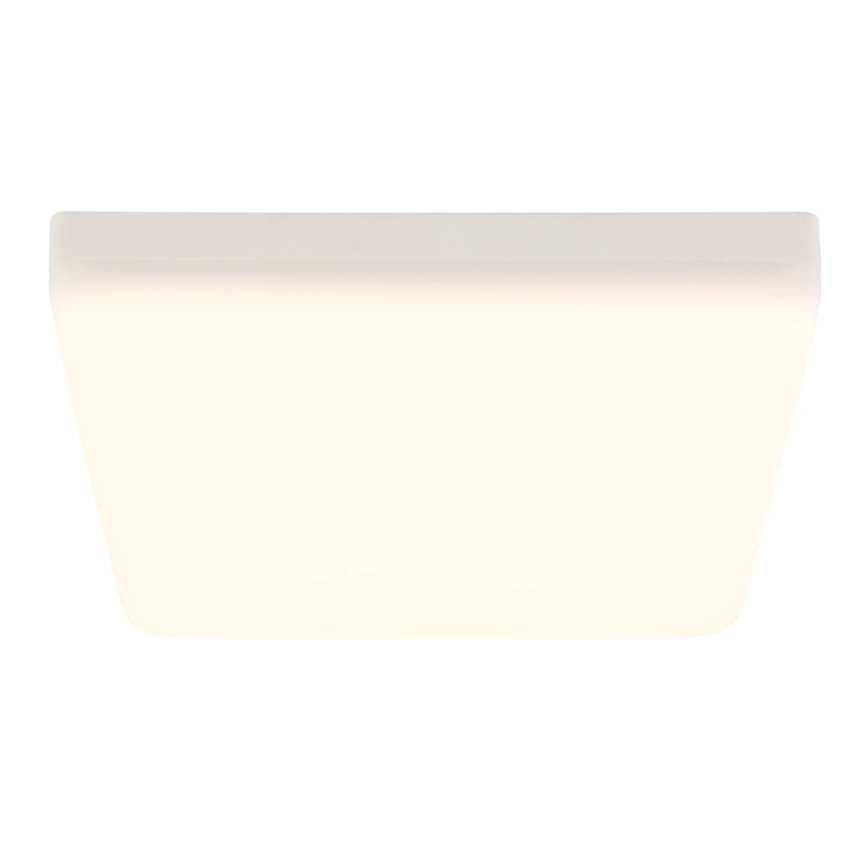 Globo - LED Stropné svietidlo LED/12W/230V 4000K 22x22 cm biela