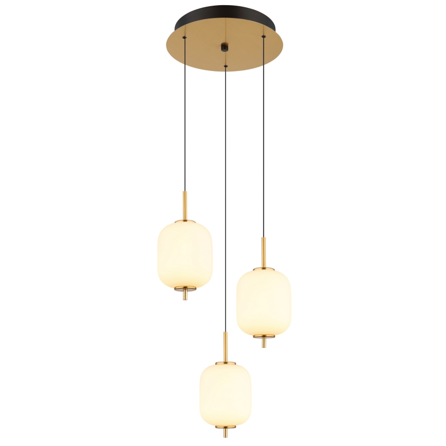 Globo - LED Luster na lanku LED/20W/230V