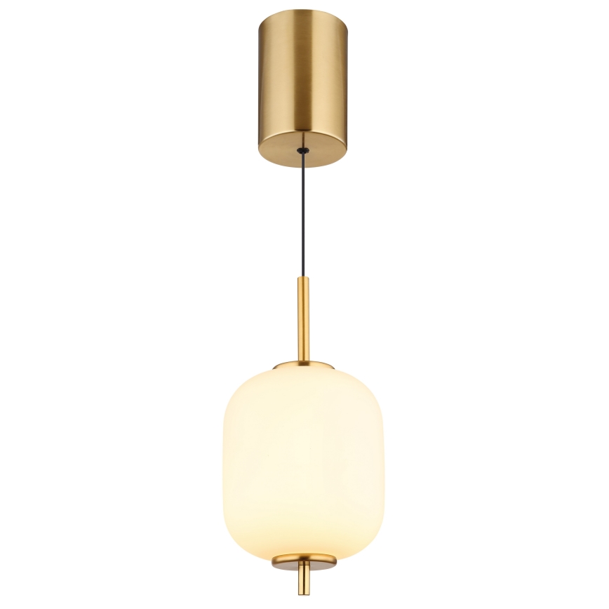 Globo - LED Luster na lanku LED/7W/230V