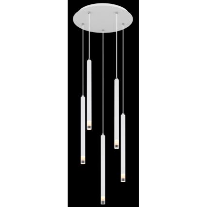 Globo - Luster na lanku 5xG9/4W/230V pr. 34 cm