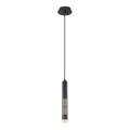 Globo 15630H - LED luster na lanku PENNY LED/12W/230V 3000K čierna