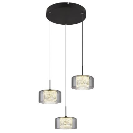 Globo - LED Luster na lanku 3xLED/8W/230V