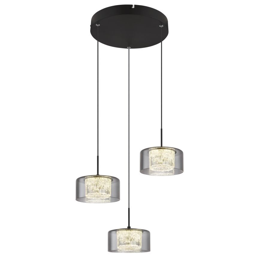 Globo - LED Luster na lanku 3xLED/8W/230V