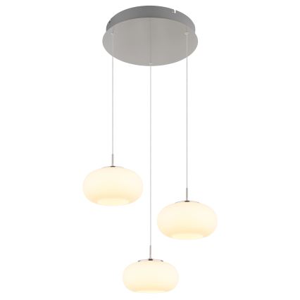Globo - LED Luster na lanku 3xLED/6W/230V