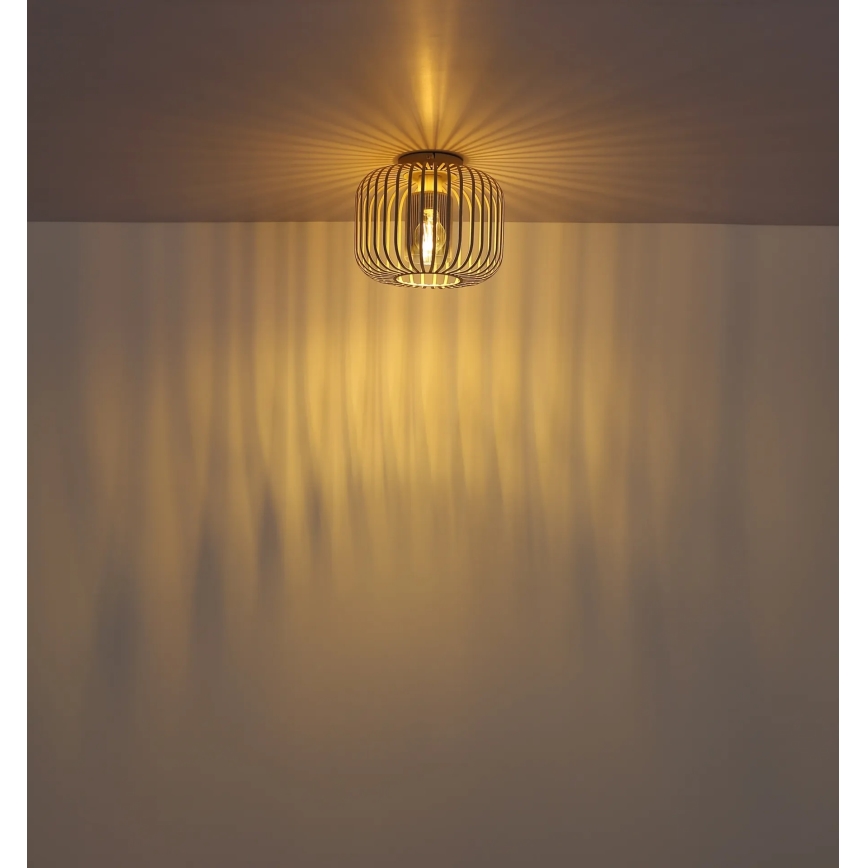 Globo - Stropné svietidlo 1xE27/40W/230V pr. 28 cm