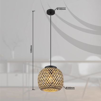 Globo 15766H1 - Luster na lanku COLLY 1xE27/15W/230V pr. 30 cm