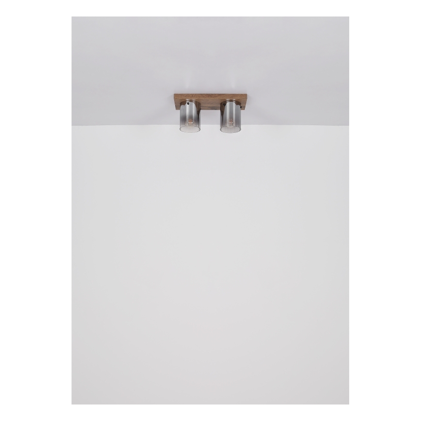 Globo - Stropné svietidlo 2xE27/40W/230V 16x41 cm