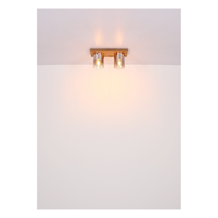 Globo - Stropné svietidlo 2xE27/40W/230V