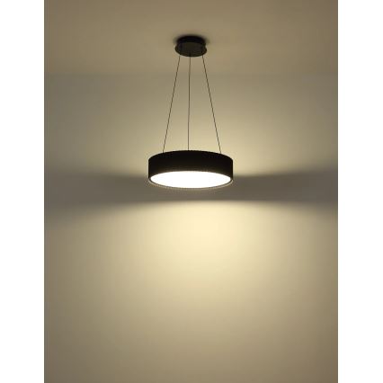 Globo - LED závesný luster na lane LED/45W/230V 2700/4000/6000K priemer 46 cm čierna