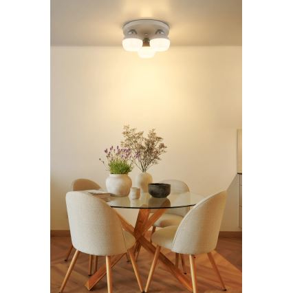 Globo - Stropné svietidlo 3xE27/60W/230V pr. 31,5 cm