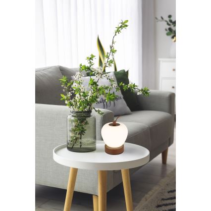 Globo - LED Stmievateľná dotyková stolná lampa LED/2W/3,7V 2700K/4000K/6500K 1200 mAh USB hnedá