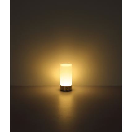 Globo - LED RGBW stmievateľná dotyková vonkajšia stolová lampa LED/1,8W/5V 1500 mAh IP44 matný chróm