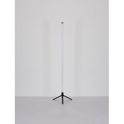 Globo - LED RGB Stmievateľná stojacia lampa LED/7W/5V + diaľkové ovládanie