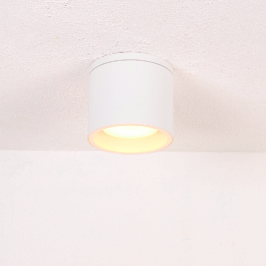 Globo - Vonkajšie stropné svietidlo 1xGX53/11W/230V IP44