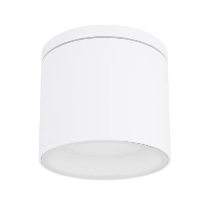 Globo - Vonkajšie stropné svietidlo 1xGX53/11W/230V IP44