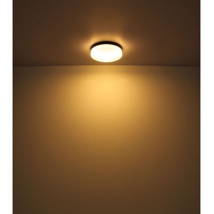 Globo - Kúpeľňové svietidlo 1xE27/60W/230V pr. 18,4 cm IP44
