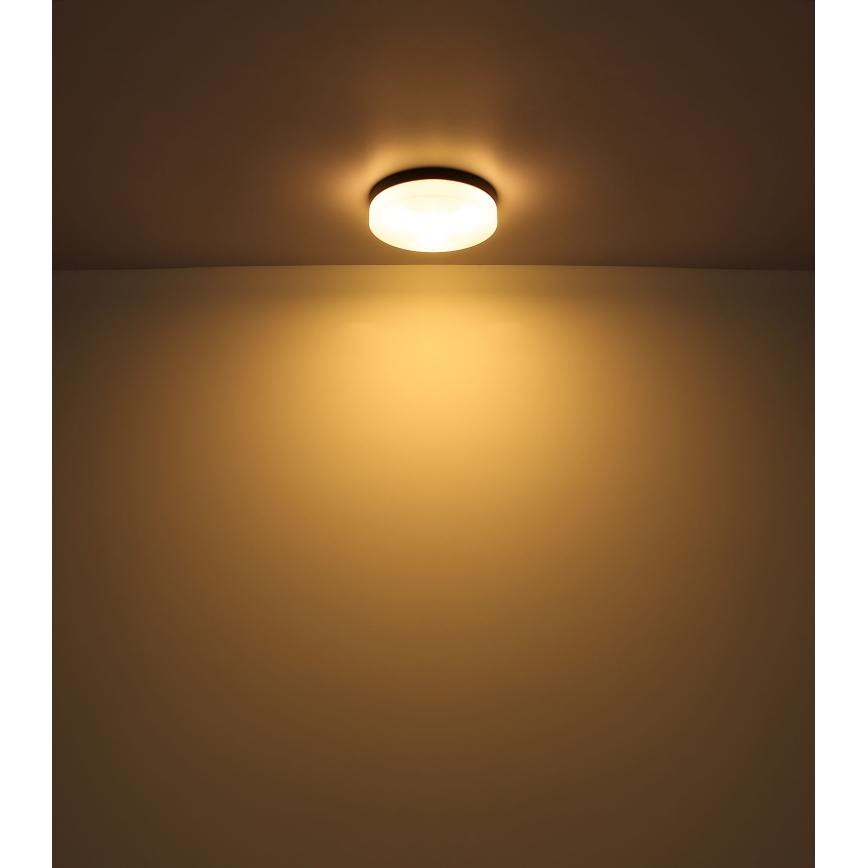 Globo - Kúpeľňové svietidlo 1xE27/60W/230V pr. 18,4 cm IP44