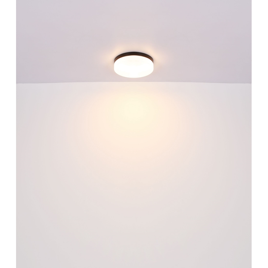 Globo - Kúpeľňové svietidlo 1xE27/60W/230V pr. 18,4 cm IP44