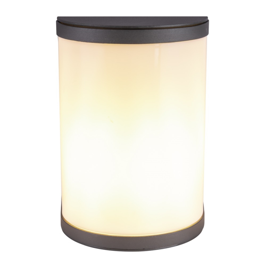 Globo 32128A - Vonkajšie nástenné svietidlo SEGGA 1xE27/60W/230V IP44