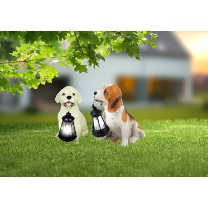 Globo - LED Solárne svietidlo LED/0,06W/3V pes IP44 600 mAh