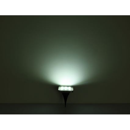 Globo - SADA 2x LED Solárne svietidlo LED/0,8W/1,2V IP44 300 mAh