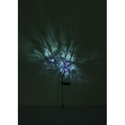 Globo - LED Solárne svietidlo 3xLED/0,06W/3V 5000K IP44 fialová