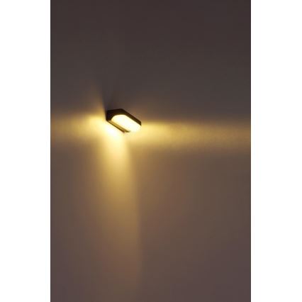 Globo - LED Vonkajšie nástenné svietidlo LED/20W/230V IP54