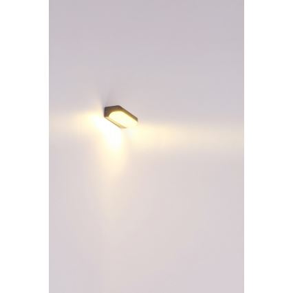 Globo - LED Vonkajšie nástenné svietidlo LED/20W/230V IP54