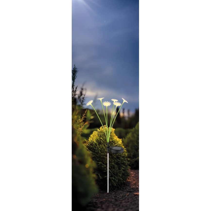Globo - LED solárne svietidlo 6xLED/3V IP44 600 mAh kvet