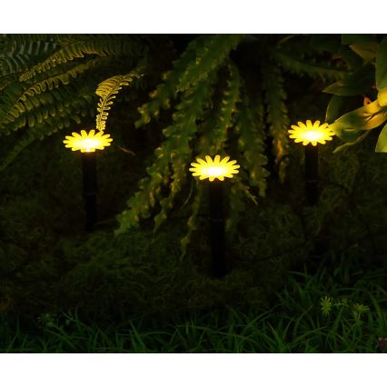 Globo - LED solárny reťazec 5xLED/3V IP44 300 mAh 2,2 m kvety