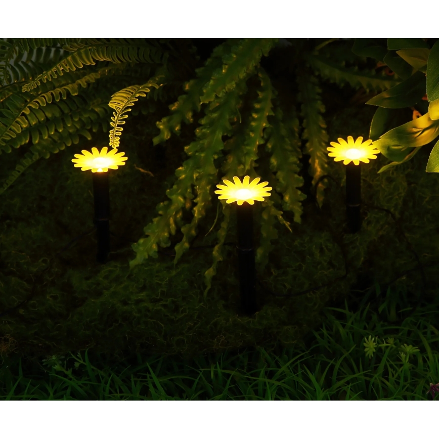 Globo - LED solárny reťazec 5xLED/3V IP44 300 mAh 2,2 m kvety