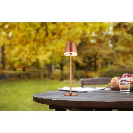 Globo - LED Solárne svietidlo LED/0,6W/3V 3000K IP44 medená