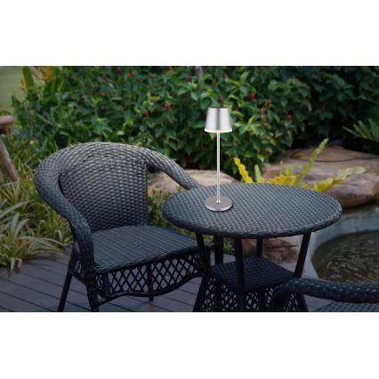 Globo - LED Solárne svietidlo LED/0,6W/3V 3000K IP44 matný chróm