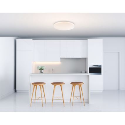 Globo - LED stropné svietidlo LED/20W/230V