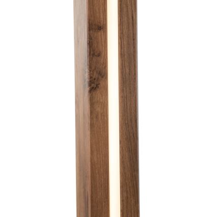 Globo - LED Stojacia lampa LED/17W/230V + 1xE27/40W