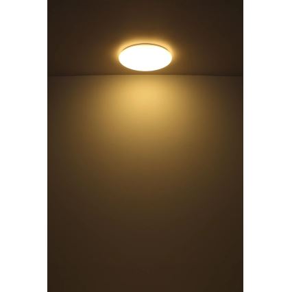 Globo - LED Stropné svietidlo LED/24W/230V pr. 49,5 cm biela