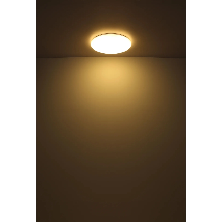 Globo - LED Stropné svietidlo LED/24W/230V pr. 49,5 cm biela