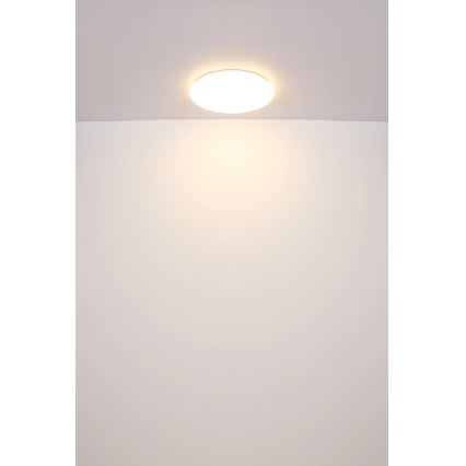 Globo - LED Stropné svietidlo LED/24W/230V pr. 49,5 cm biela