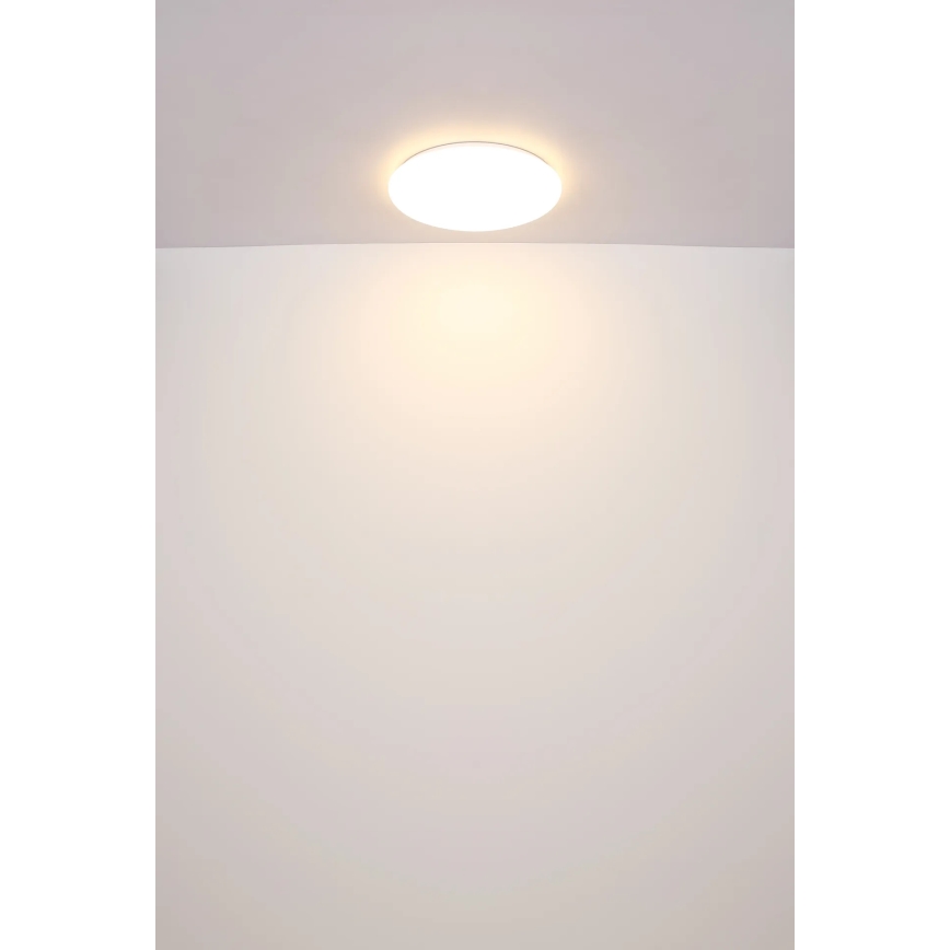 Globo - LED Stropné svietidlo LED/24W/230V pr. 49,5 cm biela