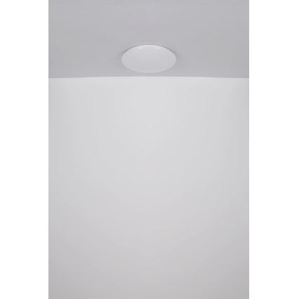 Globo - LED Stropné svietidlo LED/24W/230V pr. 49,5 cm biela