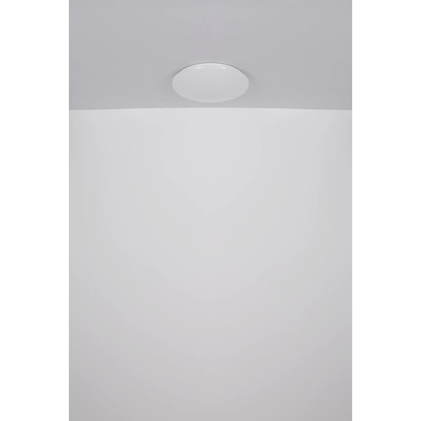 Globo - LED Stropné svietidlo LED/24W/230V pr. 49,5 cm biela