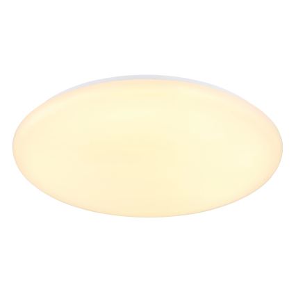 Globo - LED Stropné svietidlo LED/24W/230V pr. 49,5 cm biela