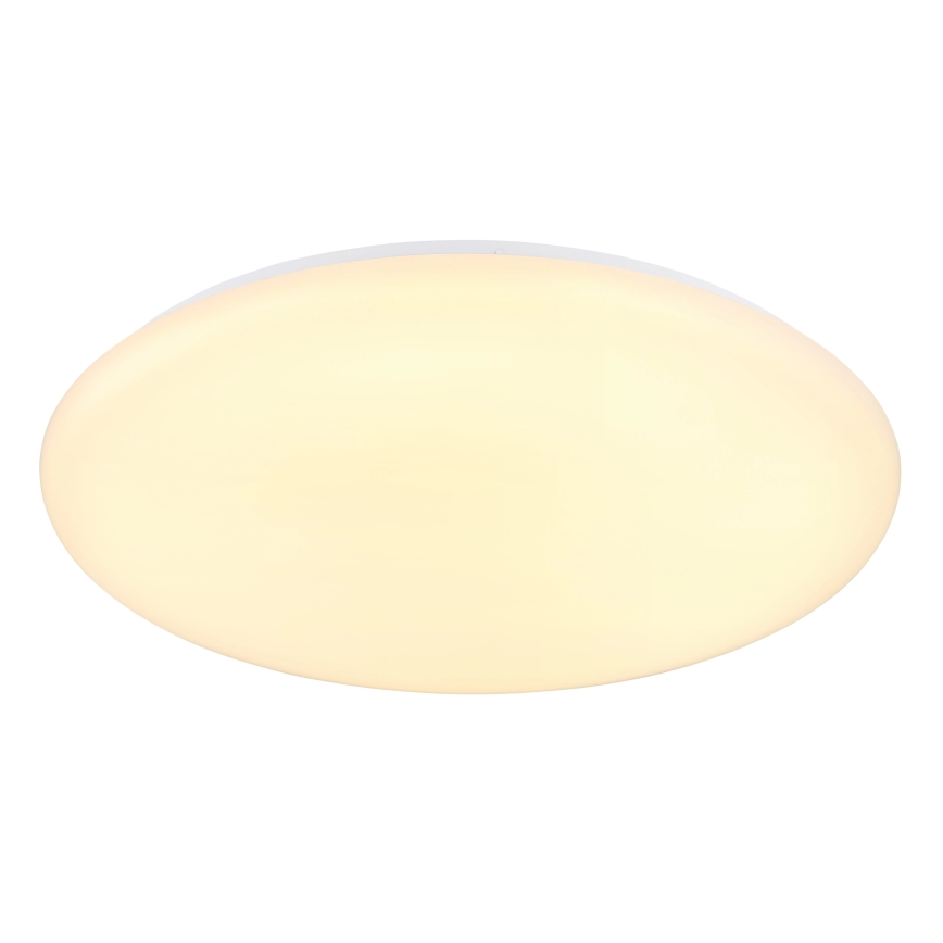 Globo - LED Stropné svietidlo LED/24W/230V pr. 49,5 cm biela