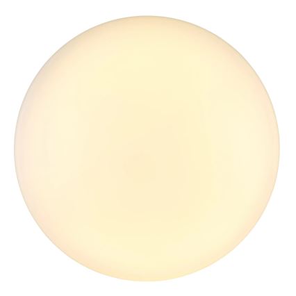 Globo - LED Stropné svietidlo LED/24W/230V pr. 49,5 cm biela