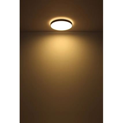Globo - LED Stropné svietidlo LED/24W/230V pr. 48 cm antracit