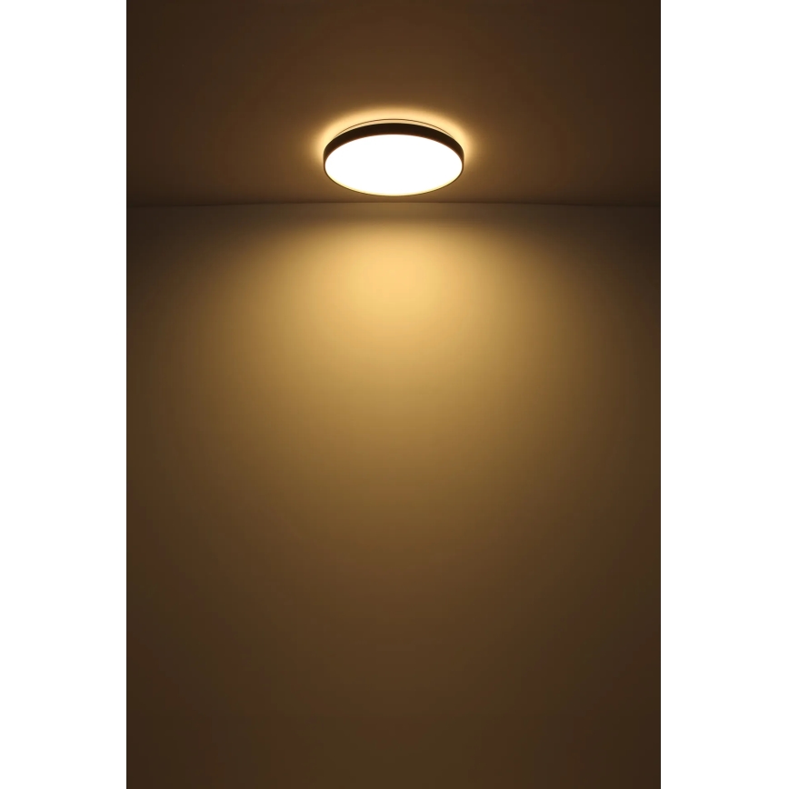 Globo - LED Stropné svietidlo LED/24W/230V pr. 48 cm antracit
