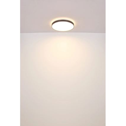 Globo - LED Stropné svietidlo LED/24W/230V pr. 48 cm antracit