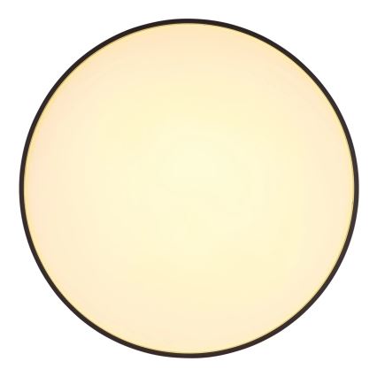 Globo - LED Stropné svietidlo LED/24W/230V pr. 48 cm antracit