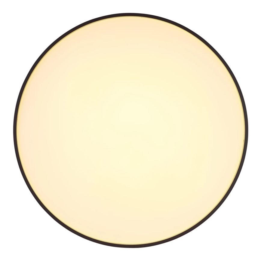 Globo - LED Stropné svietidlo LED/24W/230V pr. 48 cm antracit