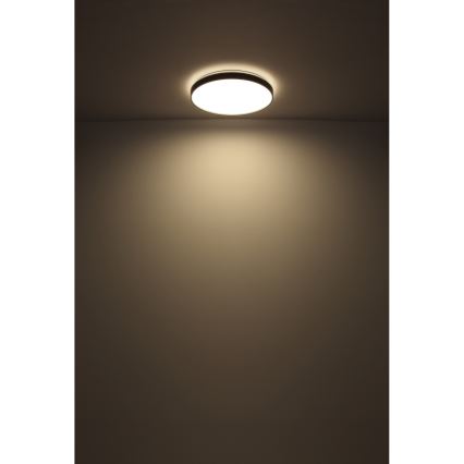 Globo - LED Stropné svietidlo LED/24W/230V